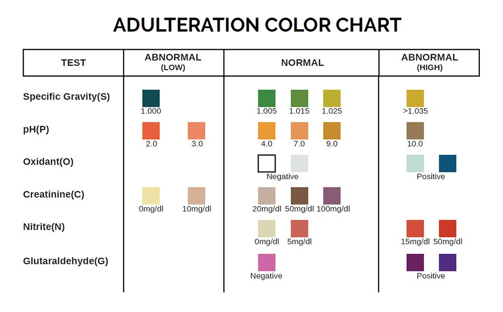 A color chart showing the different colors of adult skin.