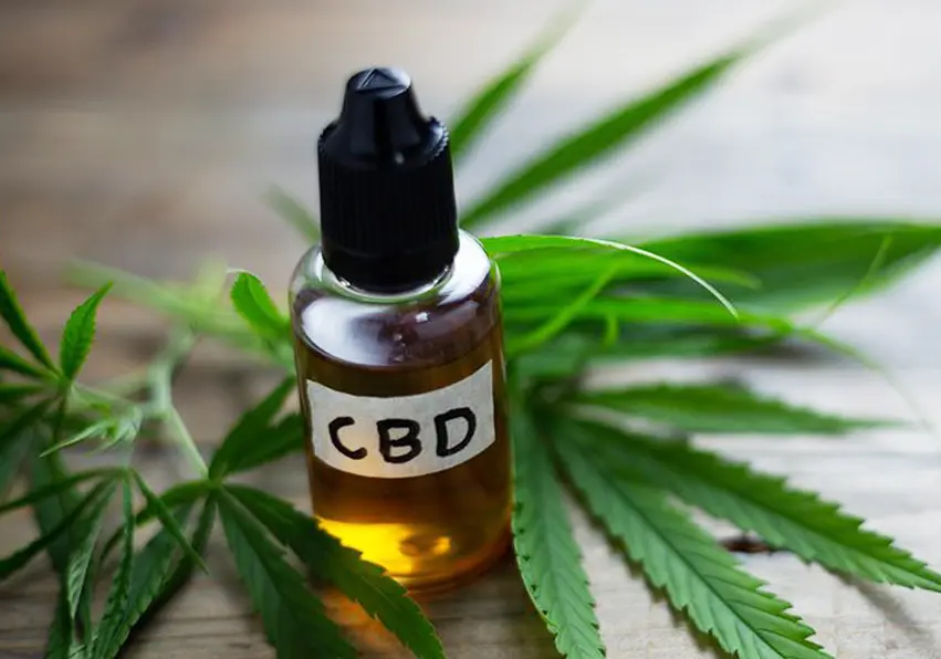 CBD oil