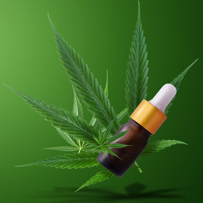 A bottle of cbd oil sitting on top of a plant.