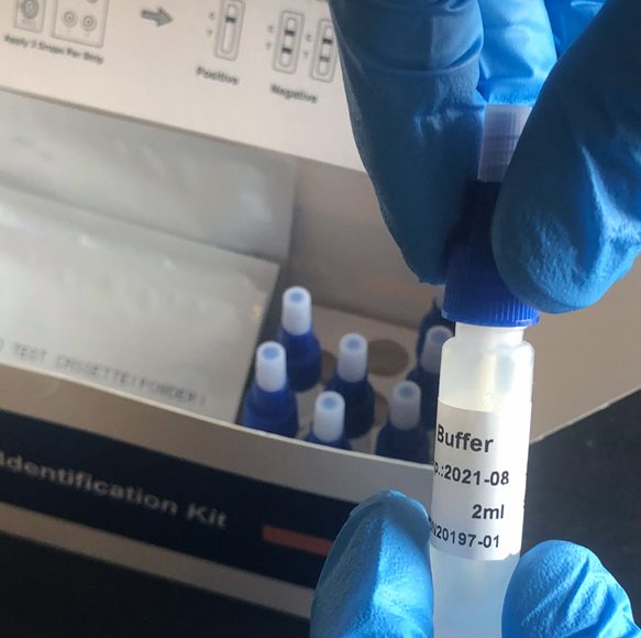 A person in blue gloves holding a tube of liquid.