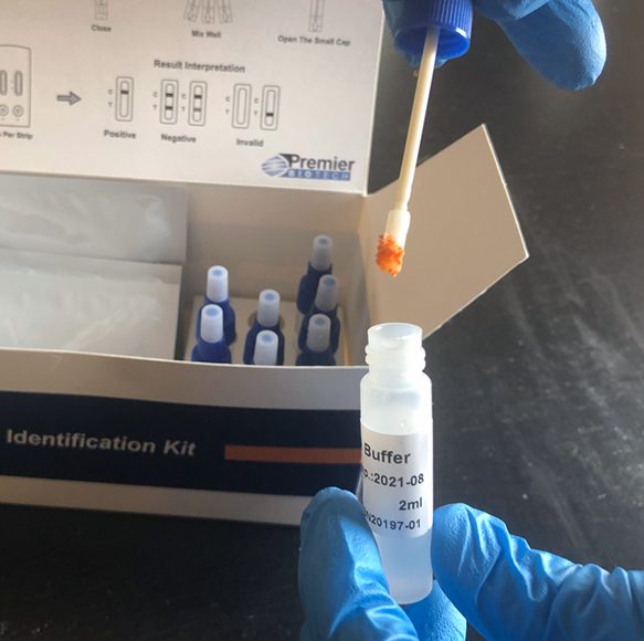 A person in blue gloves holding an orange tube of liquid.