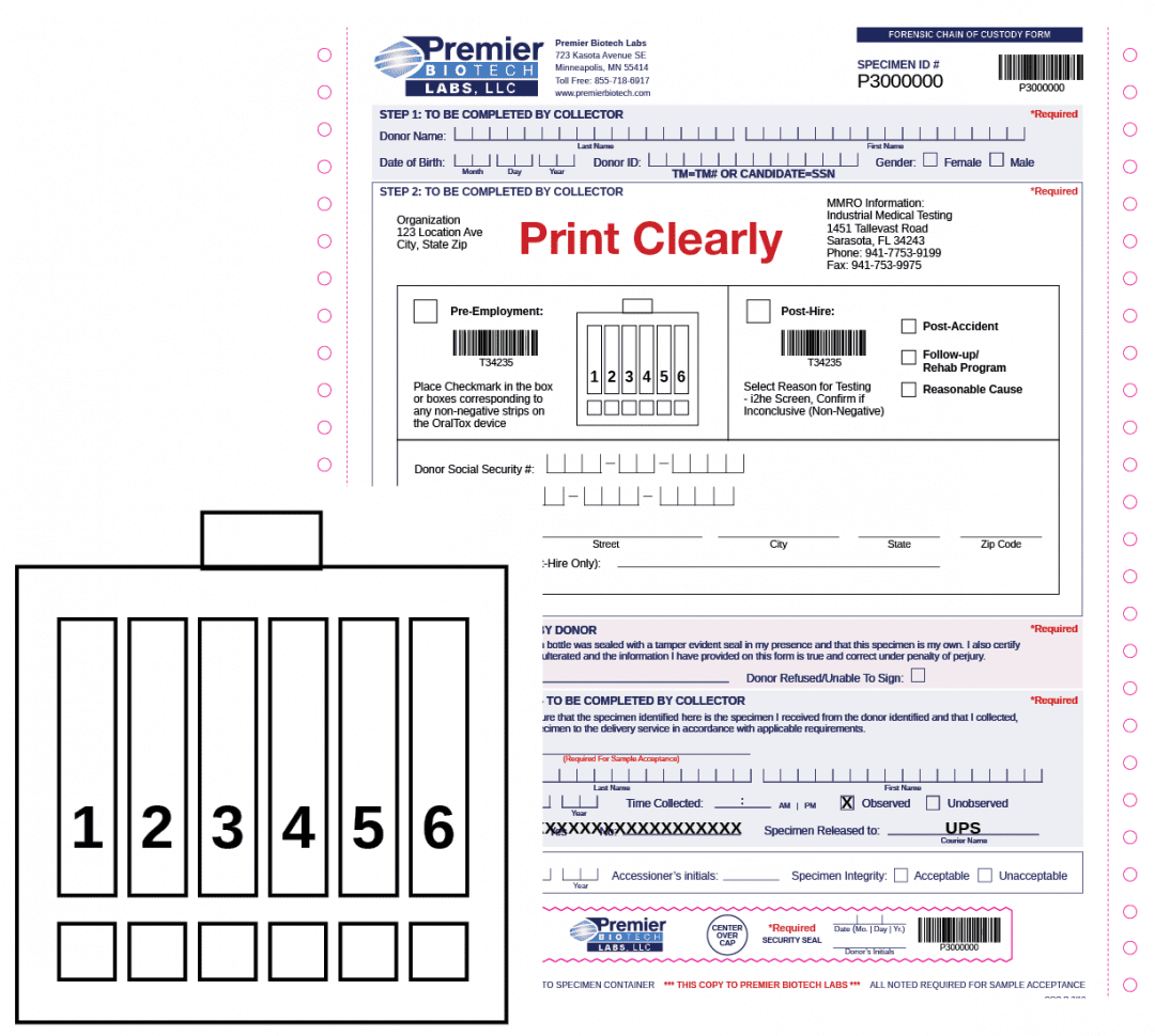 A picture of the front and back pages of an electronic form.