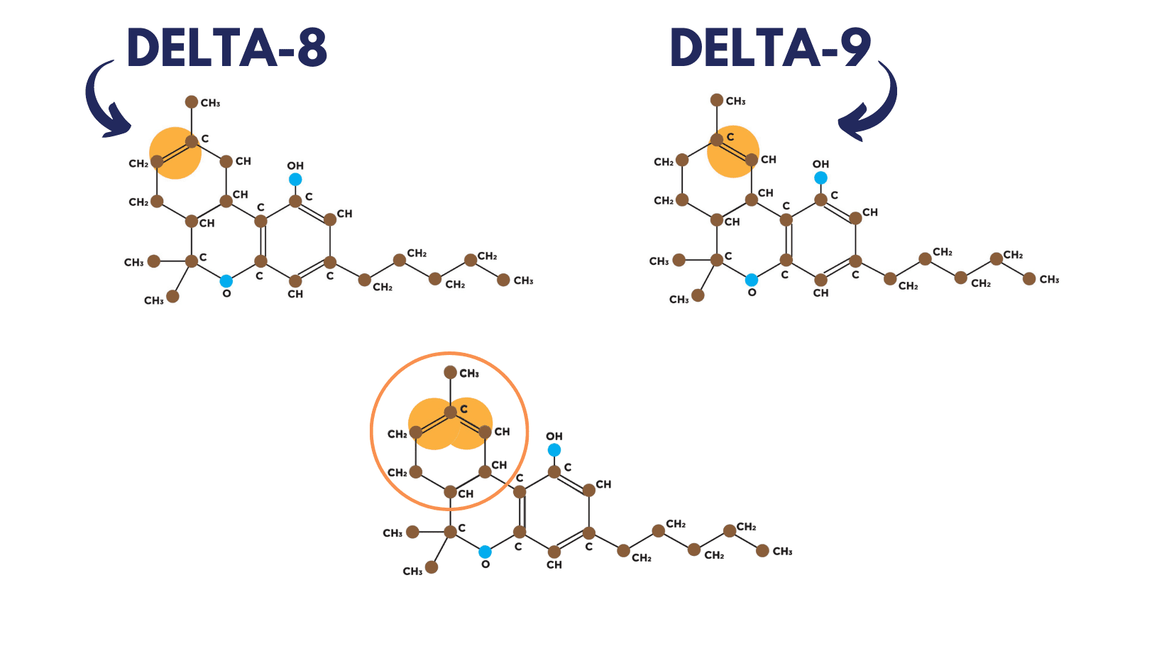 A-8 and delta 9 are the same molecule.
