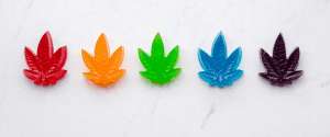 Three different colored marijuana leaves are sitting on a table.